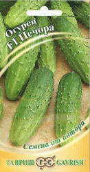 Огурцы Печора F1 10шт. автор. (Гавриш)