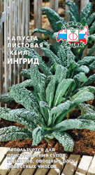 Капуста листовая Ингрид 0,3гр. (Седек)