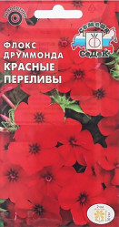 Флокс друммонда Красные Переливы однол. 0,2гр. (Седек)