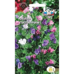 Эхиум Пилигрим 0,5гр. (Седек)