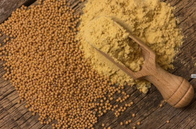 Жмых горчичный ДАЧАtime (пак.1кг.)