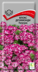 Флокс друммонди Пилигрим 0,1гр (Поиск)