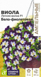 Виола Кул Вейв Бело-фиолетовая амп. 3шт. (Сем Алтая)