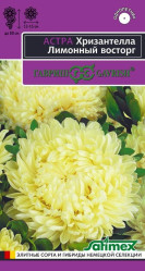 Астра Астра Хризантелла Лимонный восторг 0,05 г (Гавриш)