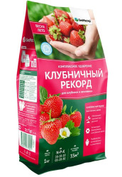 БиоМастер Клубничный рекорд (пак/ст, 1кг)