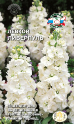 Левкой Ливерпуль (маттиола седая,белый) 0,1г (Седек)