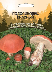 грибы Подосиновик Красный (Урал. Дачник)