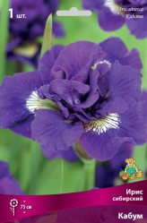 Ирис сибирский Кабум (1шт./уп.) (Солн.сад)