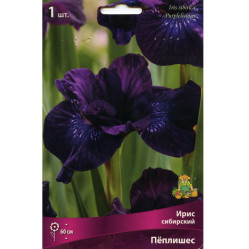 Ирис сибирский Пёплишес (1шт./уп.) (Солн.сад)