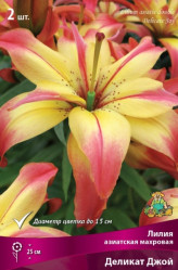 Лилия Деликат Джой (азиат.) 14/16 (2шт./уп.) (Солн.сад)