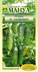 Огурцы Лабиринт F1 10шт. (Манул)