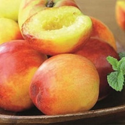 Нектарин Рубис карликовый Поиск / этик.