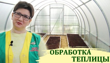 Весенняя обработка теплицы! ЧЕМ ОБРАБАТЫВАТЬ?
