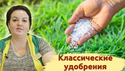 Классические удобрения. КАК ПРИМЕНЯТЬ?