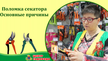 ЛОМАЕТСЯ СЕКАТОР - ЧТО ДЕЛАТЬ? Основные причины поломки секатора