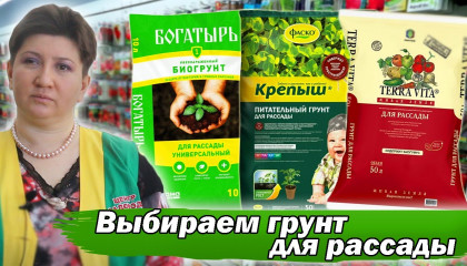 КАКОЙ ГРУНТ ДЛЯ РАССАДЫ ВЫБРАТЬ? ПРОВОДИМ ЭКСПЕРИМЕНТ!