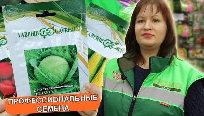 ПРОФЕССИОНАЛЬНЫЕ СЕМЕНА! Обзор ЛУЧШИХ семян на следующий год!
