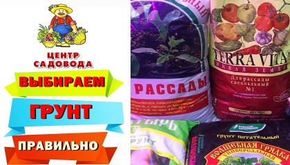 ГРУНТ ДЛЯ РАССАДЫ. Как ПРАВИЛЬНО выбрать! ОБЗОР
