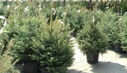 Центр Садовода Оренбург