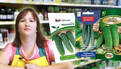 Эти СЕМЕНА ОГУРЦОВ более УСТОЙЧИВЫ к заболеваниями и вредителям! ЛУЧШИЕ СОРТА И ГИБРИДЫ ОГУРЦОВ