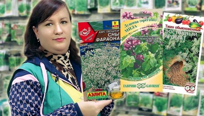 Лучшие ЛЕКАРСТВЕННЫЕ ТРАВЫ! Полезные свойства для здоровья