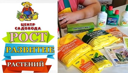 Лучшие УДОБРЕНИЯ для РОСТА и РАЗВИТИЯ ваших растений!