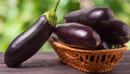 Лучшие сорта и гибриды БАКЛАЖАНОВ. По Лунному календарю пора сеять