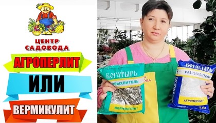 АГРОПЕРЛИТ и ВЕРМИКУЛИТ. В ЧЕМ РАЗНИЦА? ЧТО ЛУЧШЕ?