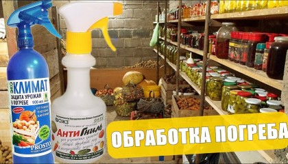 ПОГРЕБ: ОБРАБОТКА И ПОДГОТОВКА К ХРАНЕНИЮ УРОЖАЯ