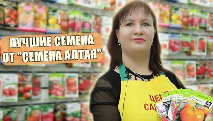 СЕМЕНА ОВОЩЕЙ, КОТОРЫЕ СТОИТ КУПИТЬ НА СЛЕДУЮЩИЙ ГОД!