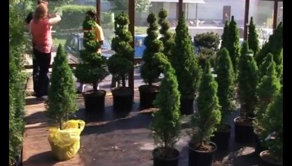 Садовый центр ул. Промышленная 5/5