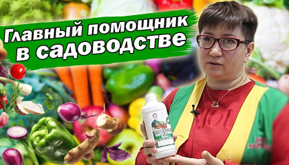 ПРИМЕНЯЙТЕ ФИТОСПОРИН ТАК И ПРОБЛЕМ НЕ БУДЕТ!
