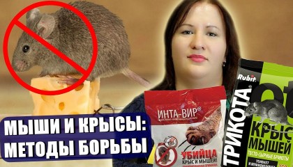МЫШИ И КРЫСЫ В ДОМЕ И НА УЧАСТКЕ! Методы борьбы! Лучшие средства против мышей и крыс