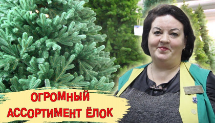 Новинки среди искусственных ёлок в магазинах ТС "Центр Садовода"!
