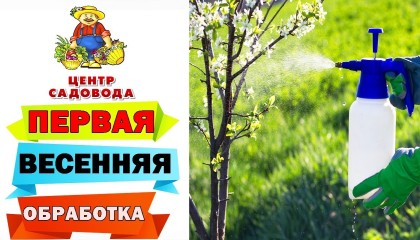 ПОРА ОБРАБАТЫВАТЬ ДЕРЕВЬЯ! Какие ПРЕПАРАТЫ использовать для ПЕРВОЙ ВЕСЕННЕЙ ОБРАБОТКИ?