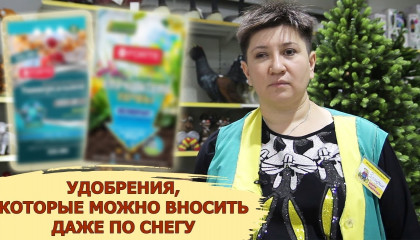 ДВА УДОБРЕНИЯ, КОТОРЫЕ МОЖНО ВНОСИТЬ ДАЖЕ ПО СНЕГУ!
