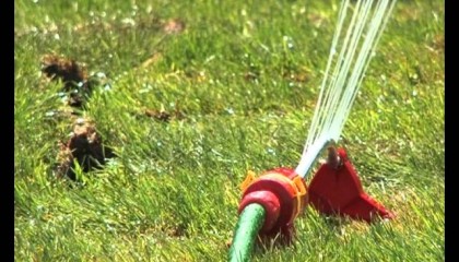 Центр Садовода рулонный газон и автополив